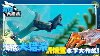 钢铁之师2mod重启后没勾选上的问题与解决方法解析