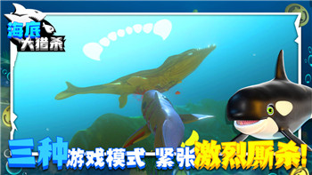 双人成行时钟之门顺序的破解与挑战，探索解谜游戏中的创意与难度